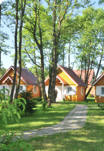 a house on the forest